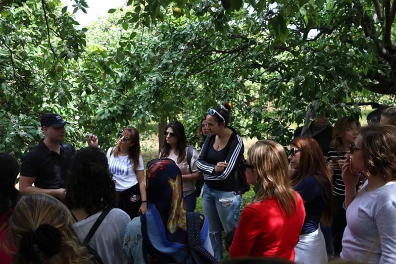 With our local guide Joseph Khoury, about the Harvest of the Orange...