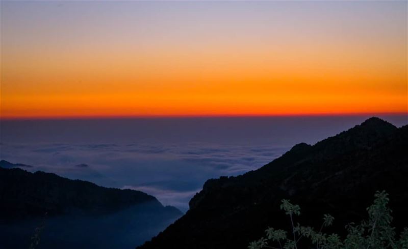 With whom would you like to share and enjoy the beauty of such Sunset? ▪▪▪▪ (Arz Tannoûrîne)