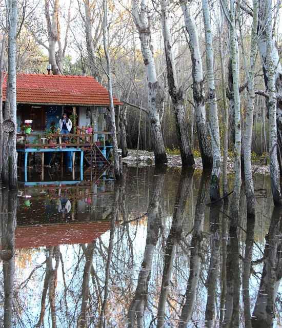 "Without deep reflection one knows from daily life that one exists for... (Abdelli, Liban-Nord, Lebanon)