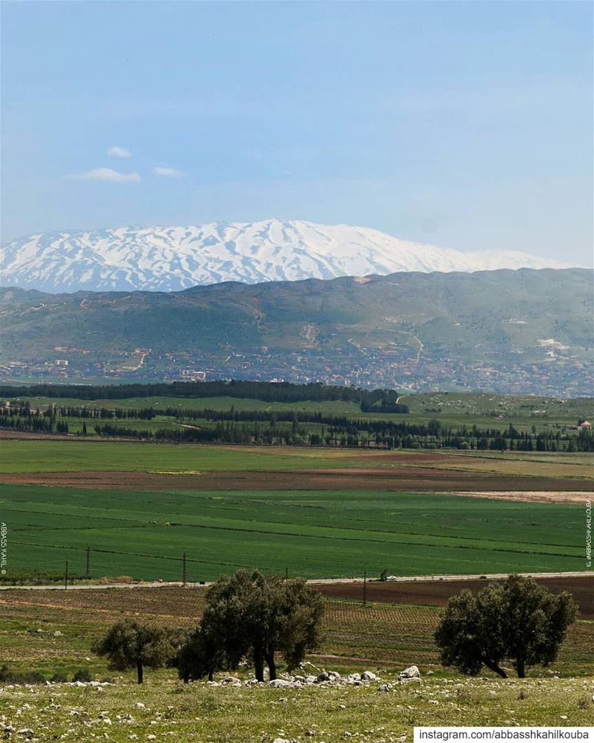 .• " Woke up to this view "• Location: Bekaa Valley | Lebanon ----------- (Bekaa Valley)