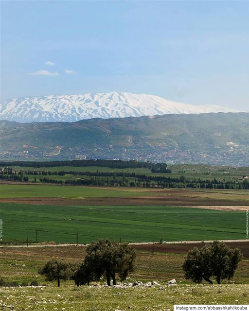 .• " Woke up to this view "• Location: Bekaa Valley | Lebanon ----------- (Bekaa Valley)