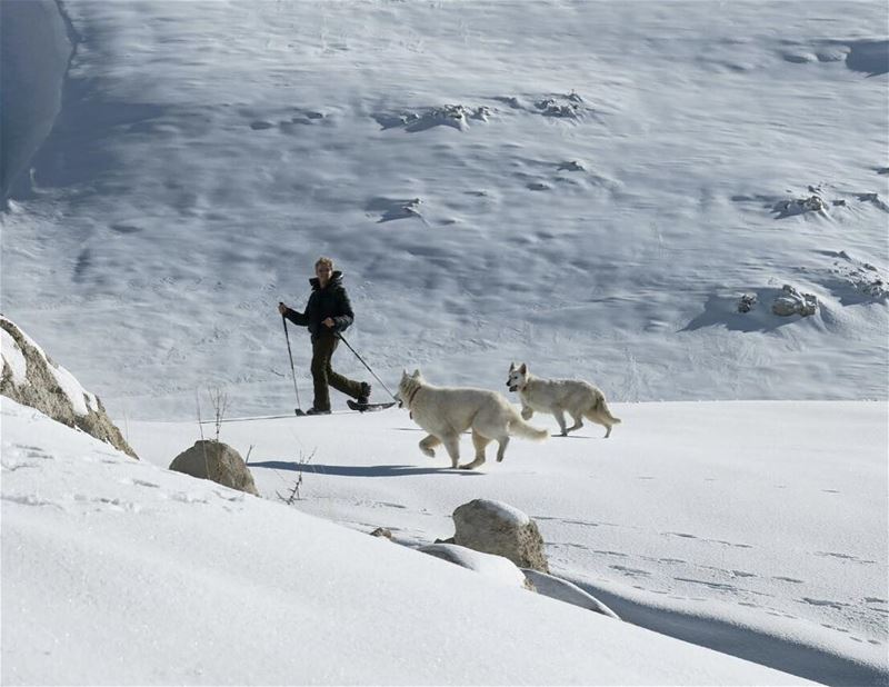 Wolf Dance 🐕📷 @elias.ac  Livelovebeirut  theweekoninstagram ... (Qanat Bakish, Mont-Liban, Lebanon)