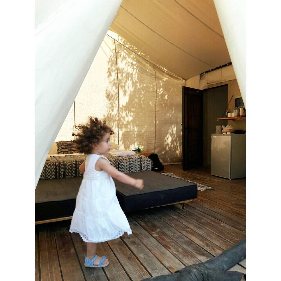 Wolff-dance in our tent  headbanger  daughter  glamping  camping  vaca ... (Blue Jay Valley)
