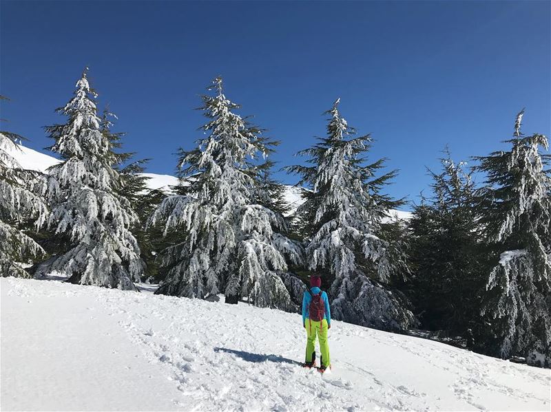 Wonderland 🤟🏻 (L'auberge De Faqra)