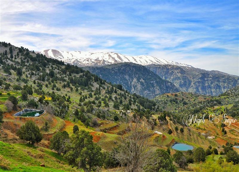  woods  clouds  akkar  hiking  hikingadventures  hike  scout  scouting ...