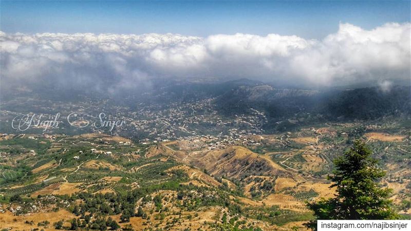  woods  clouds  akkar  hiking  hikingadventures  hike  scoutjamboree ...