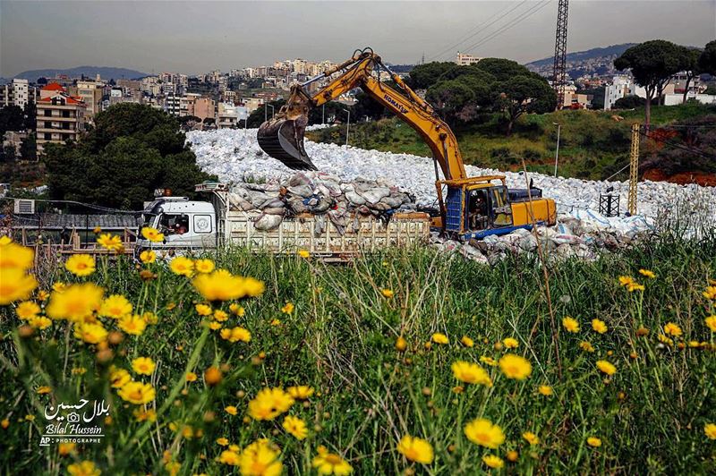 Workers load garbage bags into trucks on a street in Jdeide, east Beirut,...