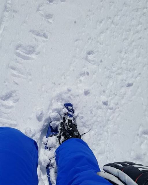 Working out with a view 😎 snowshoeing  snow  mountains  lebanon_hdr ...