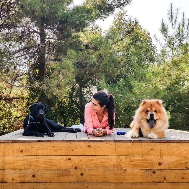 Workout partners 🐶🐶❤  EnzoMyBlackLab   FluffyMyChow....... dogs ...