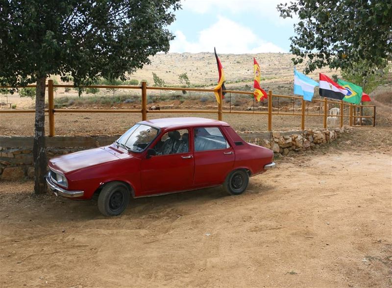 World Cup is a great occasion in all over Lebanon, even in rural areas.... (Jezzîne, Al Janub, Lebanon)