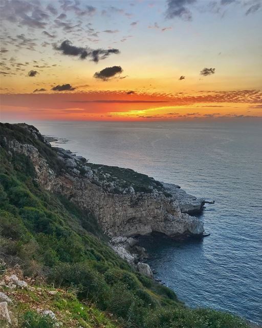Would love to be somewhere tropical right now like Oahu or Bali, but my... (Batroûn)