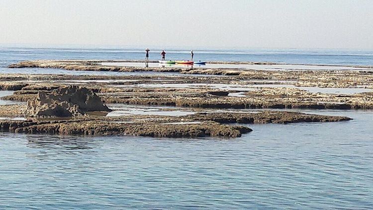 Would you consider swimming in November? We just spotted some adventurous... (Byblos - Jbail بيبلوس/جبيل)