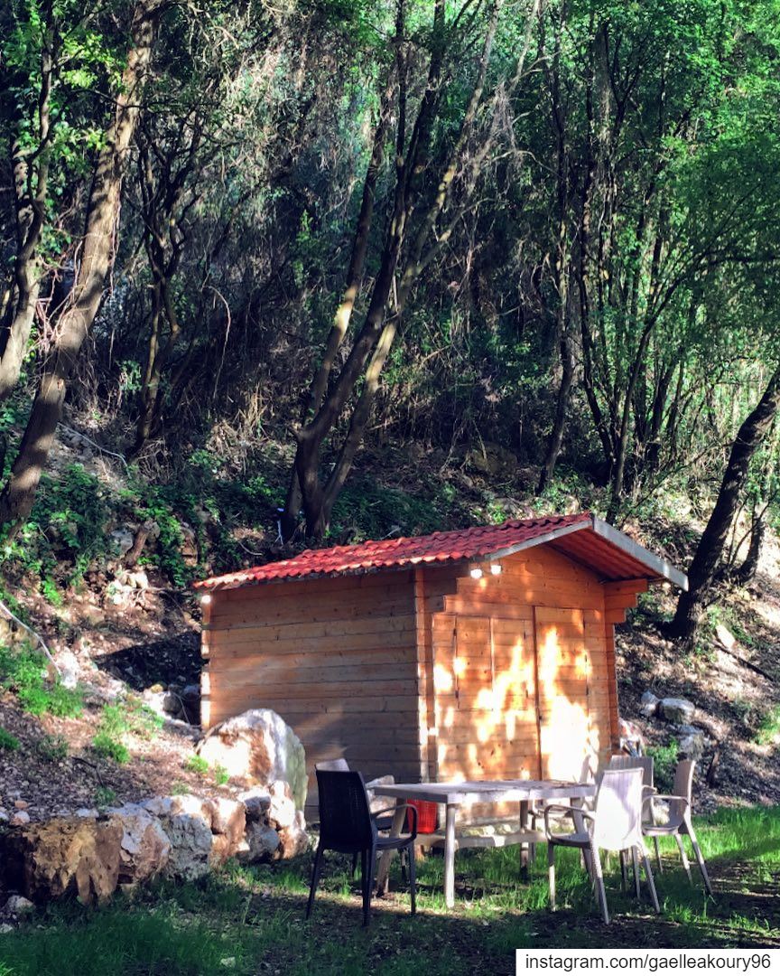 Would you live here for 6 months with no Internet and TV ? (Lebanon)