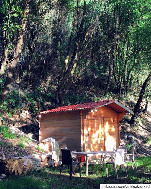 Would you live here for 6 months with no Internet and TV ? (Lebanon)