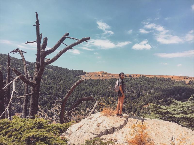 Would you love you, if you met you? (Arz Tannoûrîne)
