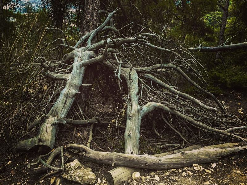 Would you spend the night? ... thediscoverer  wildernessculture ... (Ehden, Lebanon)