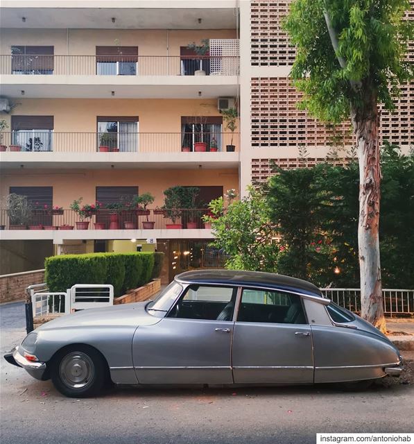 Would you start loving Mondays if that was your ride for work? 😅