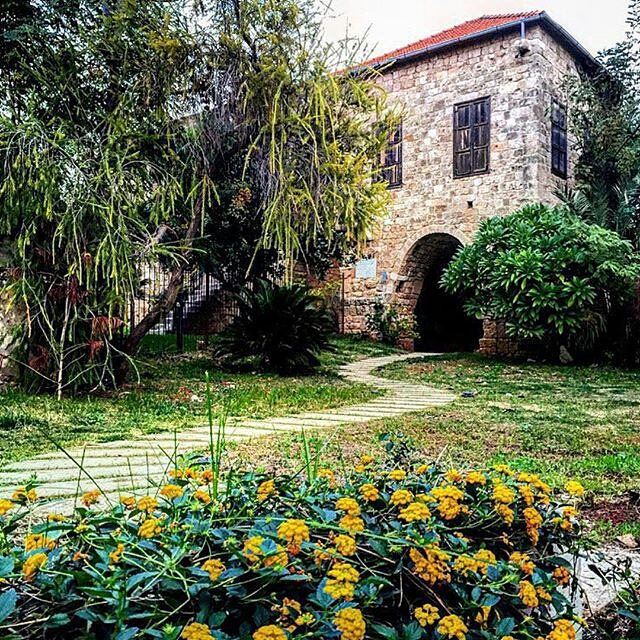 Would you take this path? livelovebyblos by @gaelleakoury96