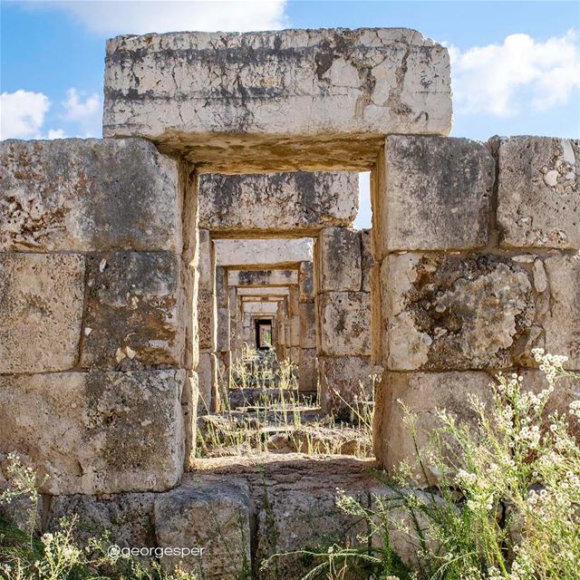 www.facebook.com/georgesper.... proudlylebanese  beautifullebanon ... (Tyre, Lebanon)