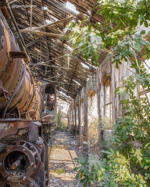 www.facebook.com/georgesper.... proudlylebanese  beautifullebanon ... (Tripoli Train Station)