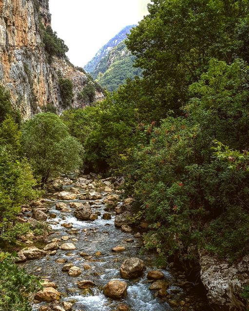 Yahshoush Valley - Nahr Ibrahim