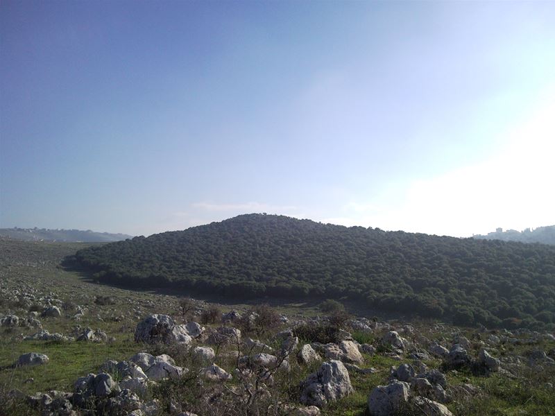 Yaroun: A Walk in Al Mansoura