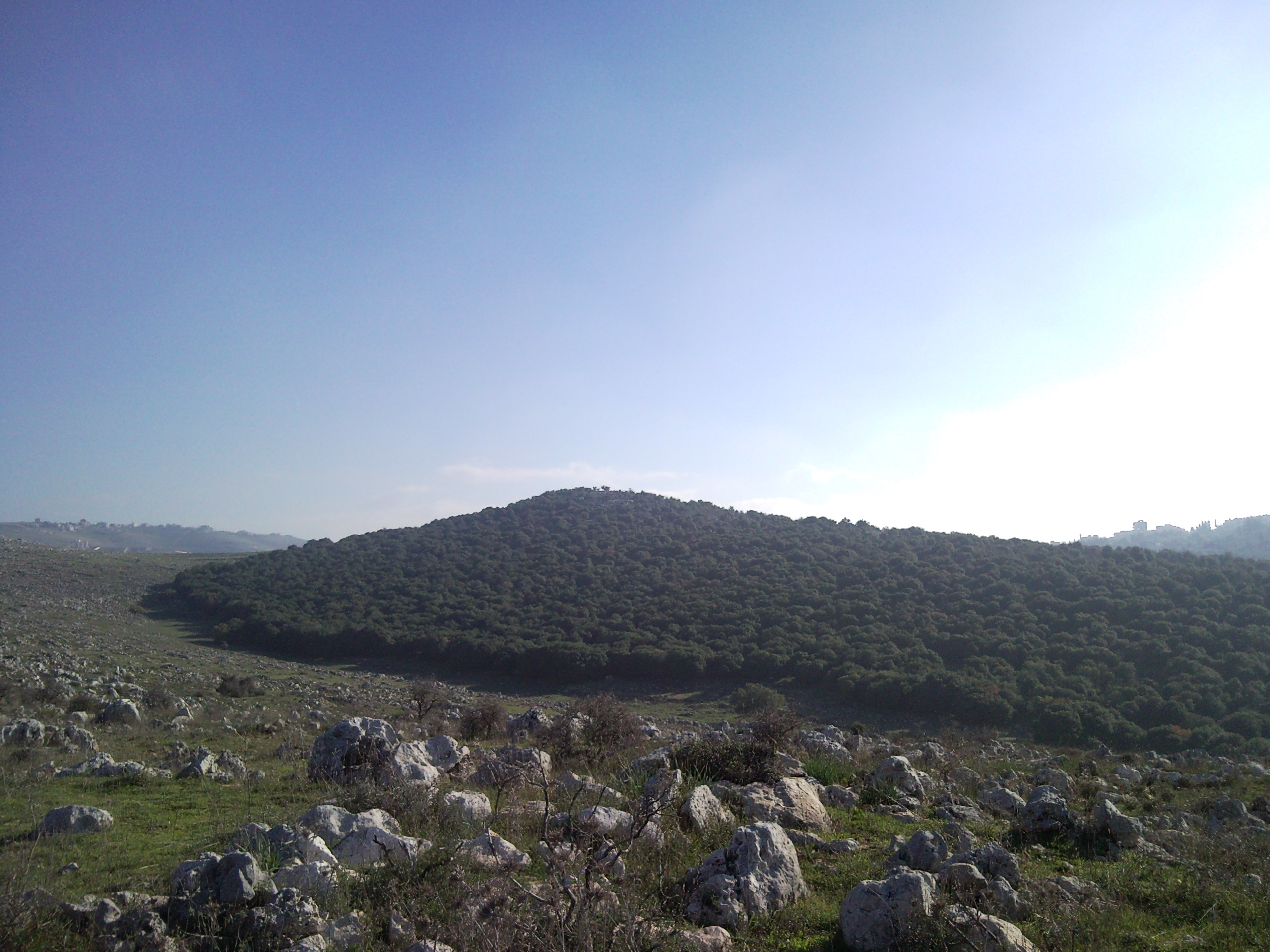 Yaroun: A Walk in Al Mansoura