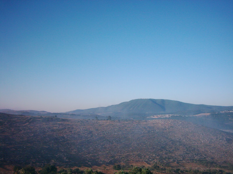 Yaroun in 2004