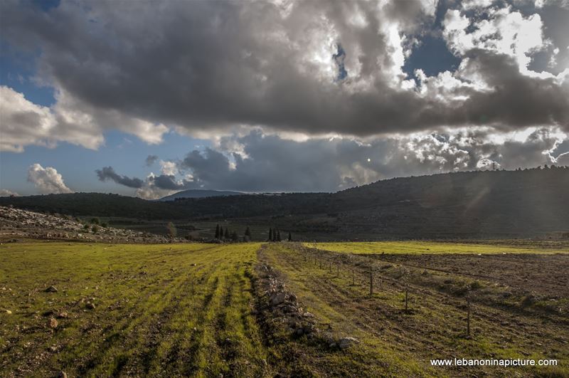 Yaroun Landscape (Yaroun, South Lebanon)
