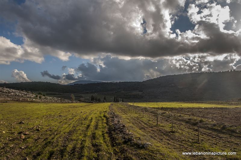 Yaroun Landscape (Yaroun, South Lebanon)