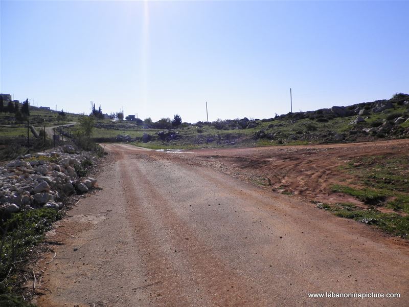 Yaroun's Beautiful Green Landscape (Spring 2011)