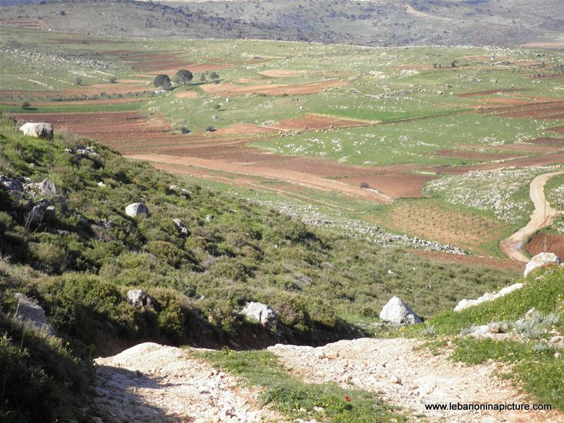 Yaroun's Beautiful Green Landscape (Spring 2011)