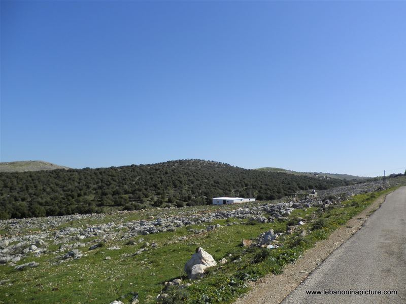 Yaroun's Beautiful Green Landscape (Spring 2011)