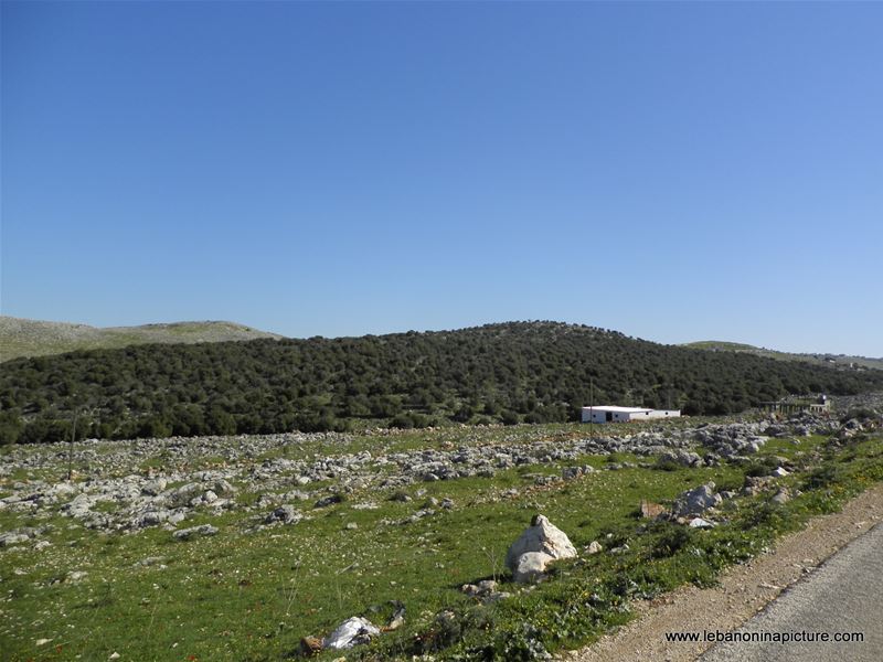 Yaroun's Beautiful Green Landscape (Spring 2011)