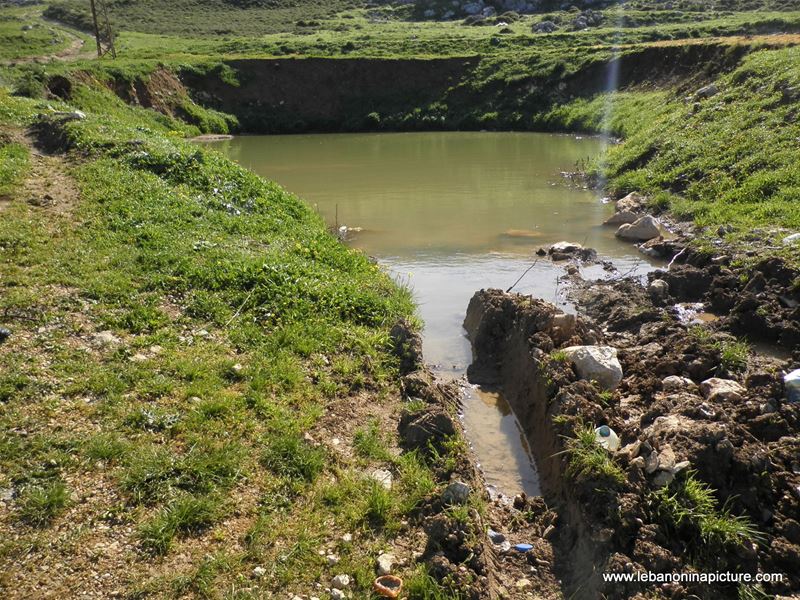 Yaroun's Beautiful Green Landscape (Spring 2011)