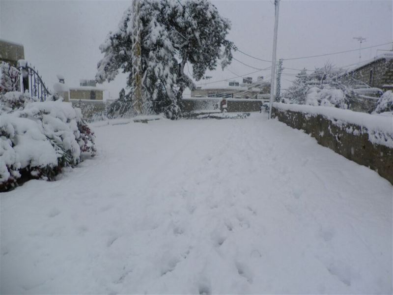 Yaroun Snow Storm 12/13/2013