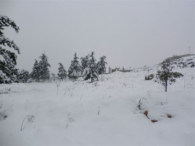 Yaroun Snow Storm 12/13/2013