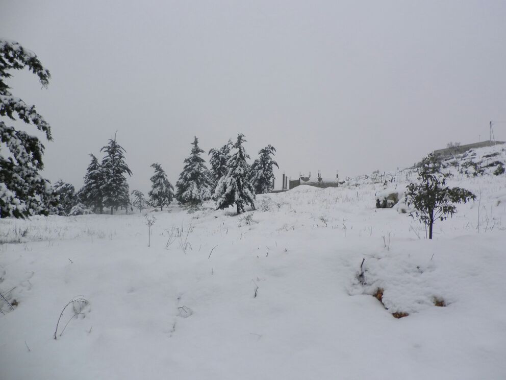 Yaroun Snow Storm 12/13/2013