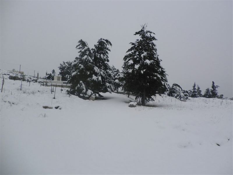 Yaroun Snow Storm 12/13/2013