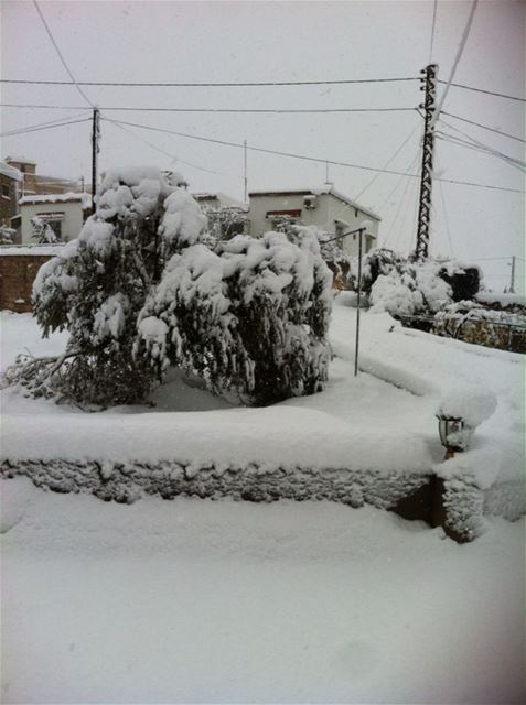 Yaroun Snow Storm 12/13/2013