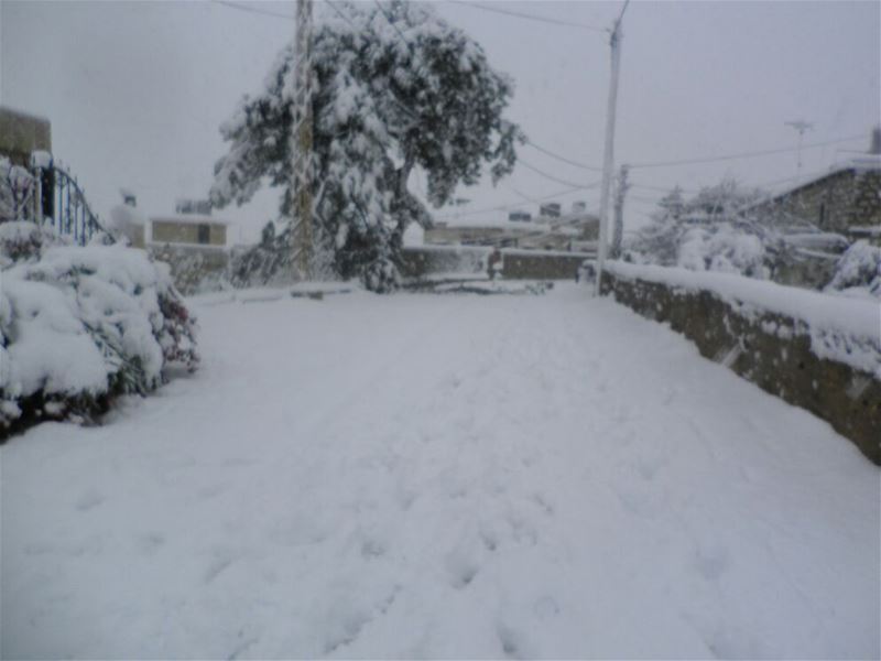 Yaroun Snow Storm 12/13/2013