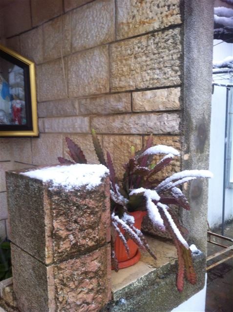 Yaroun Snow Storm 12/13/2013