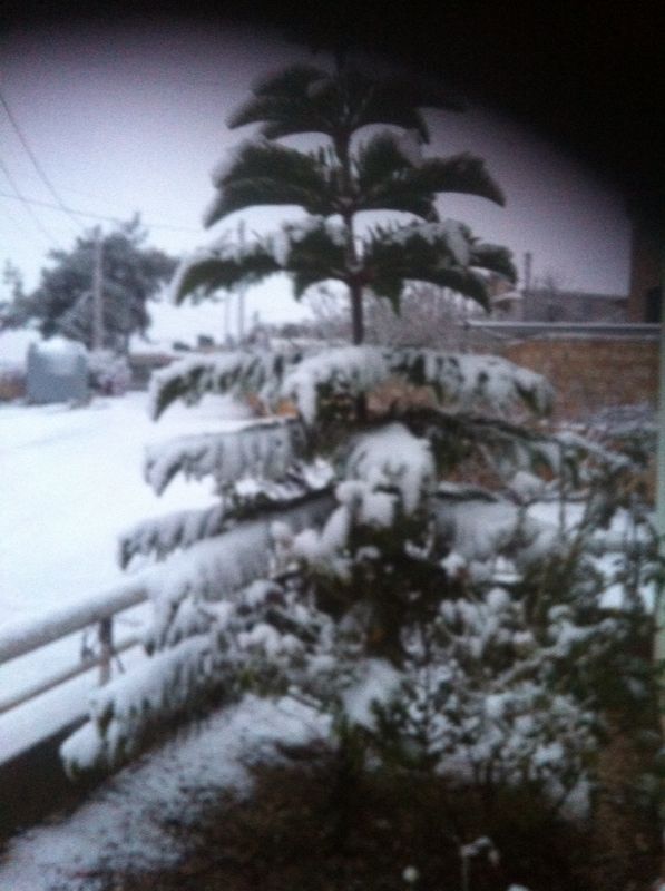 Yaroun Snow Storm 12/13/2013