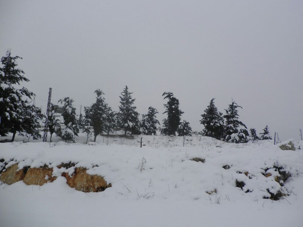 Yaroun Snow Storm 12/13/2013