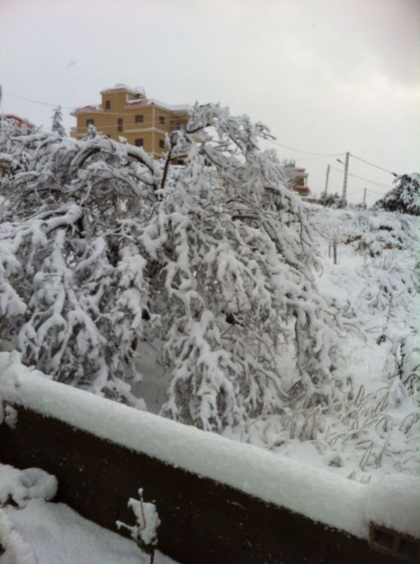Yaroun Snow Storm 12/13/2013
