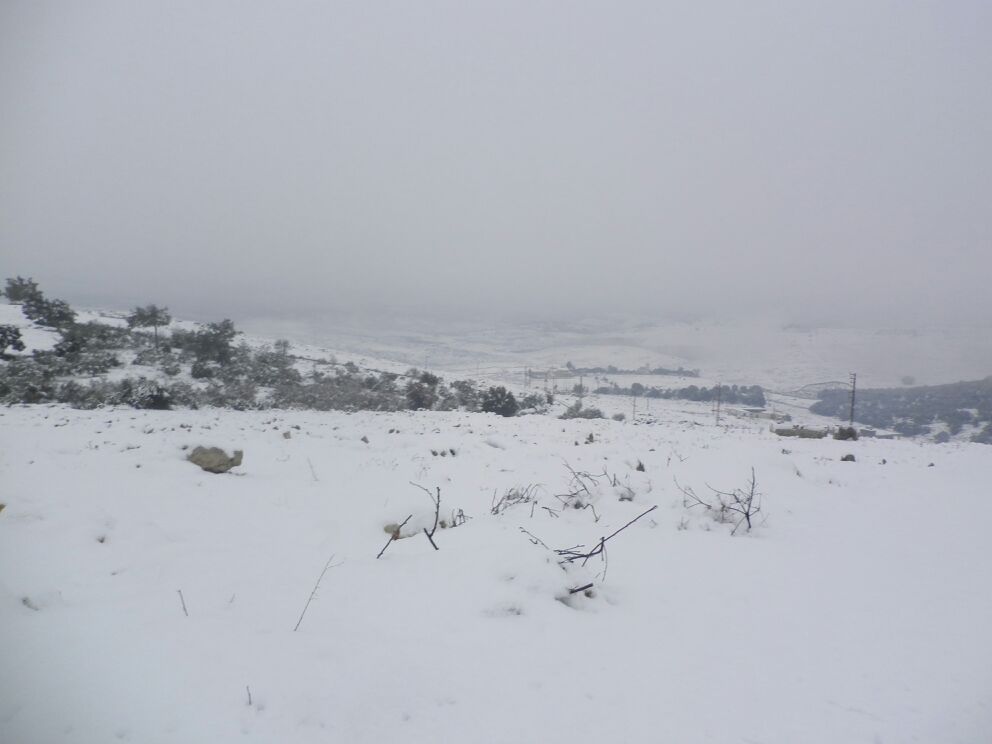 Yaroun Snow Storm 12/13/2013