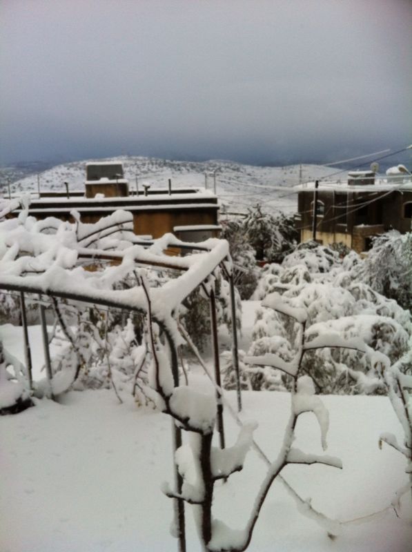 Yaroun Snow Storm 12/13/2013