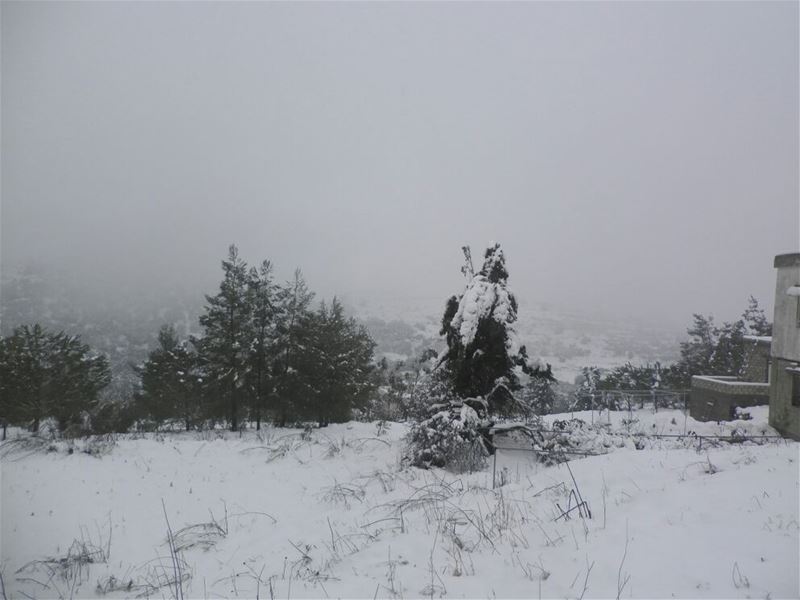 Yaroun Snow Storm 12/13/2013
