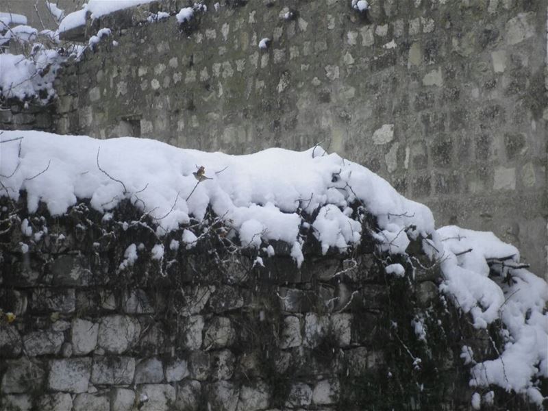 Yaroun Snow Storm 12/13/2013