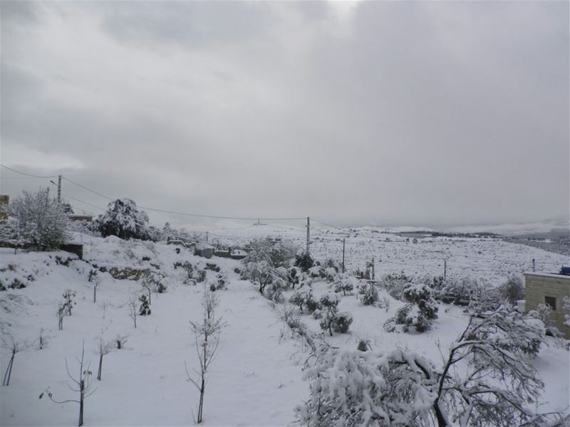 Yaroun Snow Storm 12/13/2013